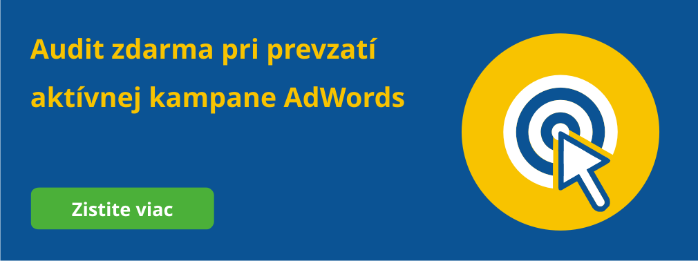 audit PPC kampaní AdWords